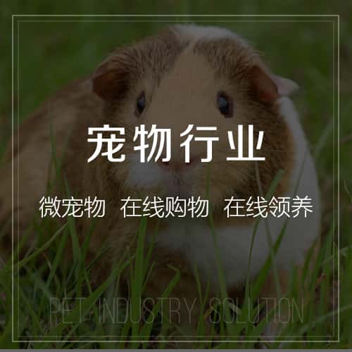 赣州宠物