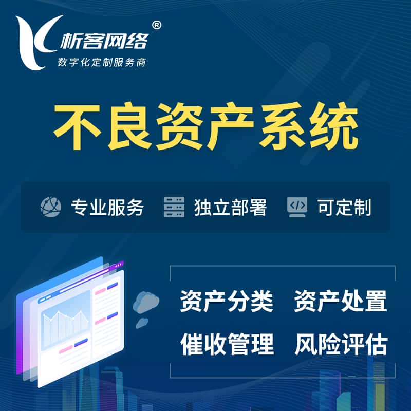 赣州不良资产管理系统