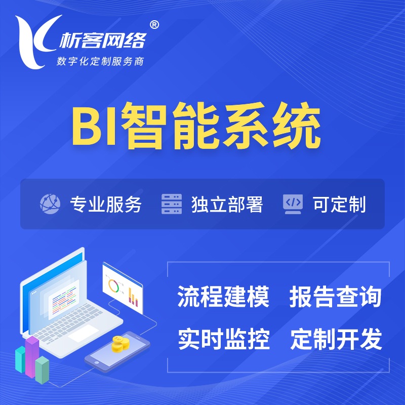 赣州BI智能系统 | BI数据可视化